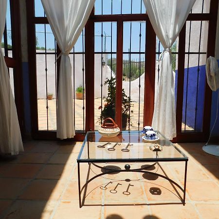 Casa Erizo 39 (Adults Only) Otel Guanajuato Dış mekan fotoğraf
