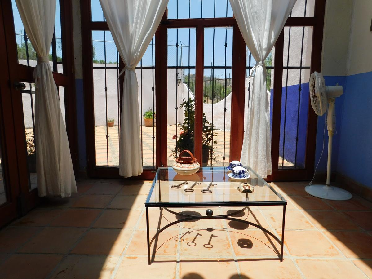 Casa Erizo 39 (Adults Only) Otel Guanajuato Dış mekan fotoğraf