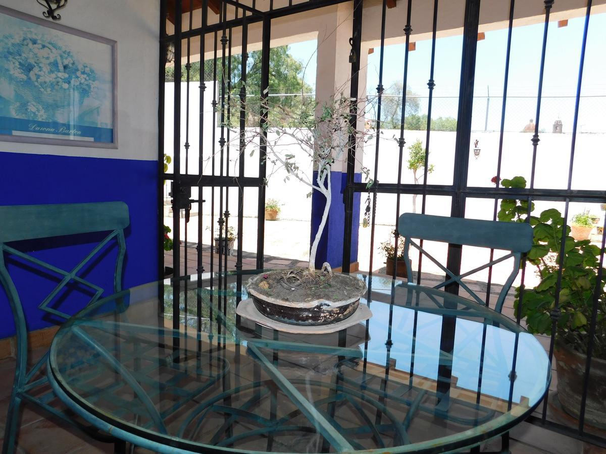Casa Erizo 39 (Adults Only) Otel Guanajuato Dış mekan fotoğraf