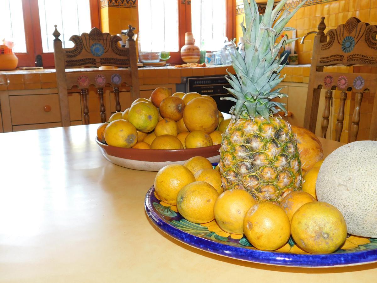 Casa Erizo 39 (Adults Only) Otel Guanajuato Dış mekan fotoğraf